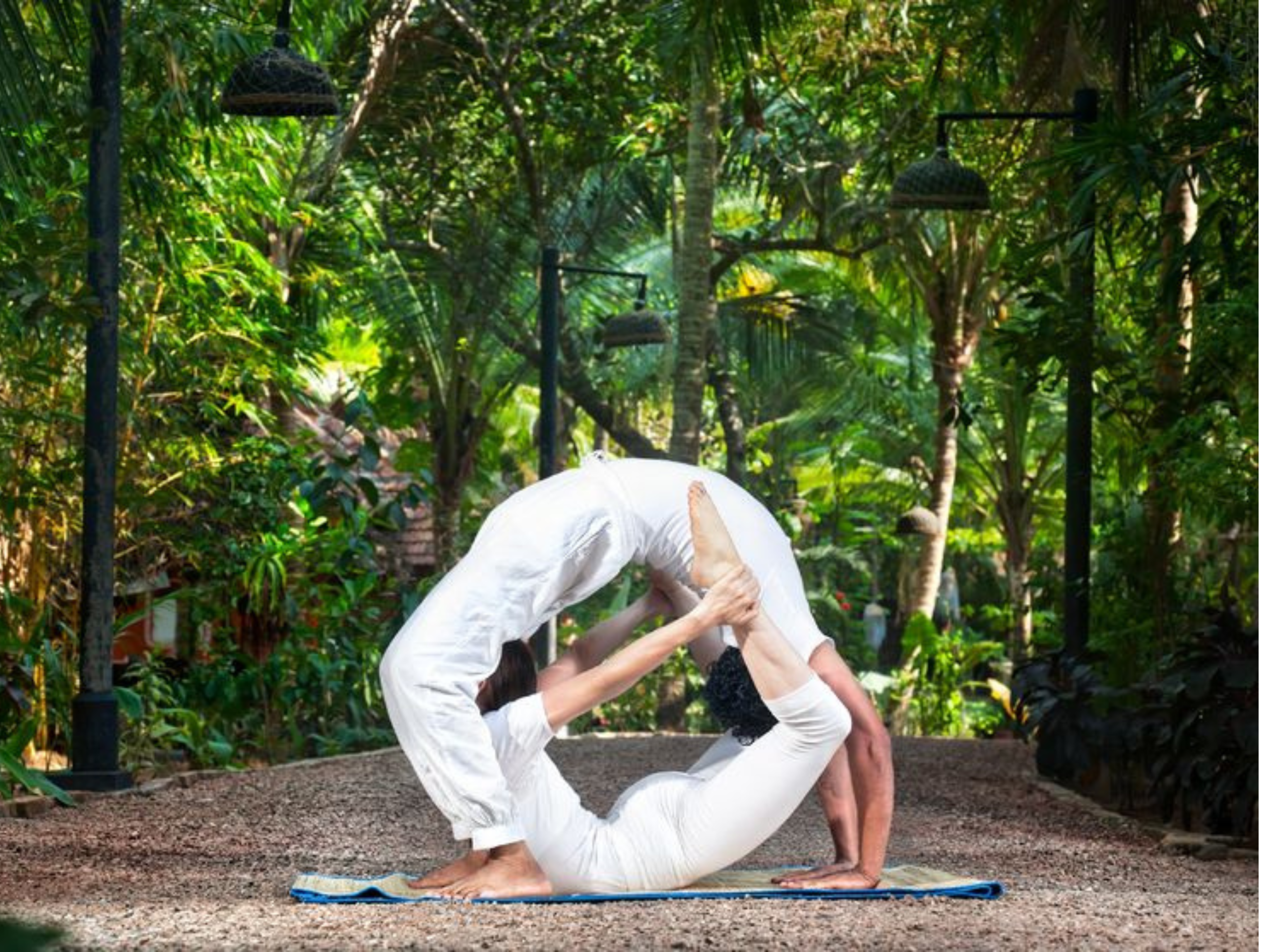 Untitled design - 2025-12-09T155132.453