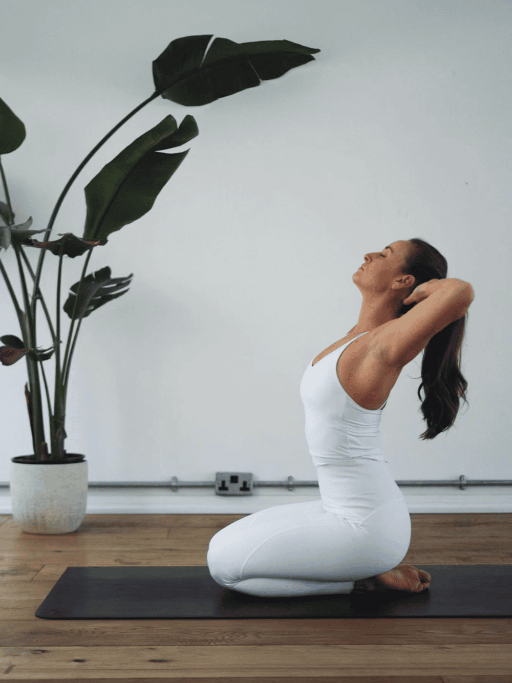 Untitled design - 2025-12-16T125005.016