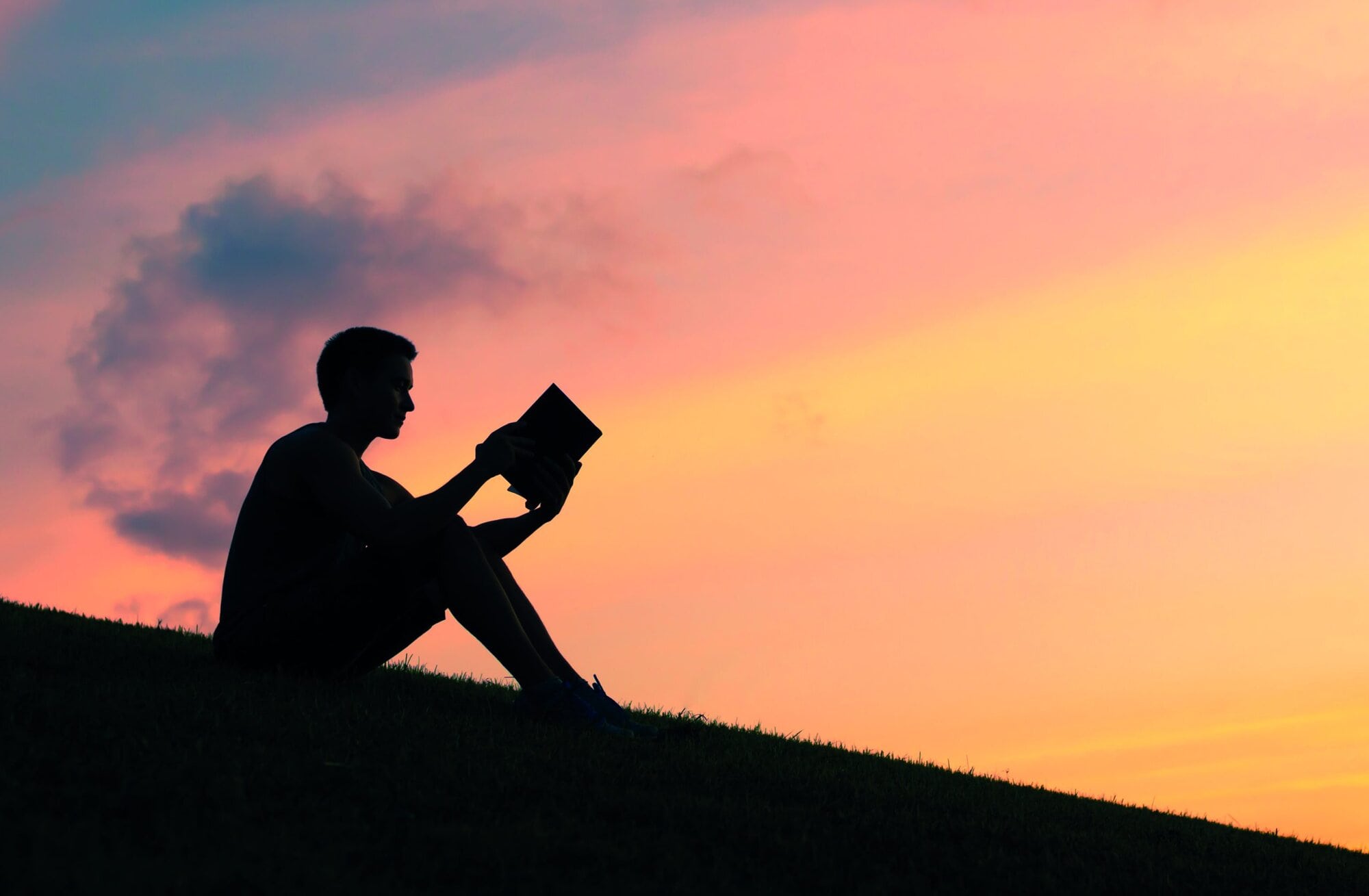 Young man reading a book in the park.