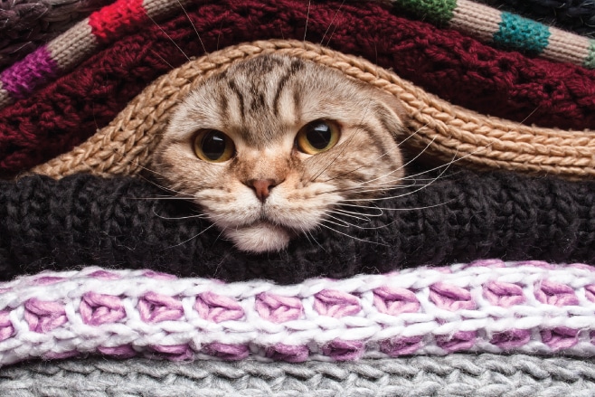 Winter Health