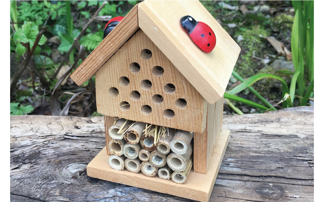 Insect-House-Kit