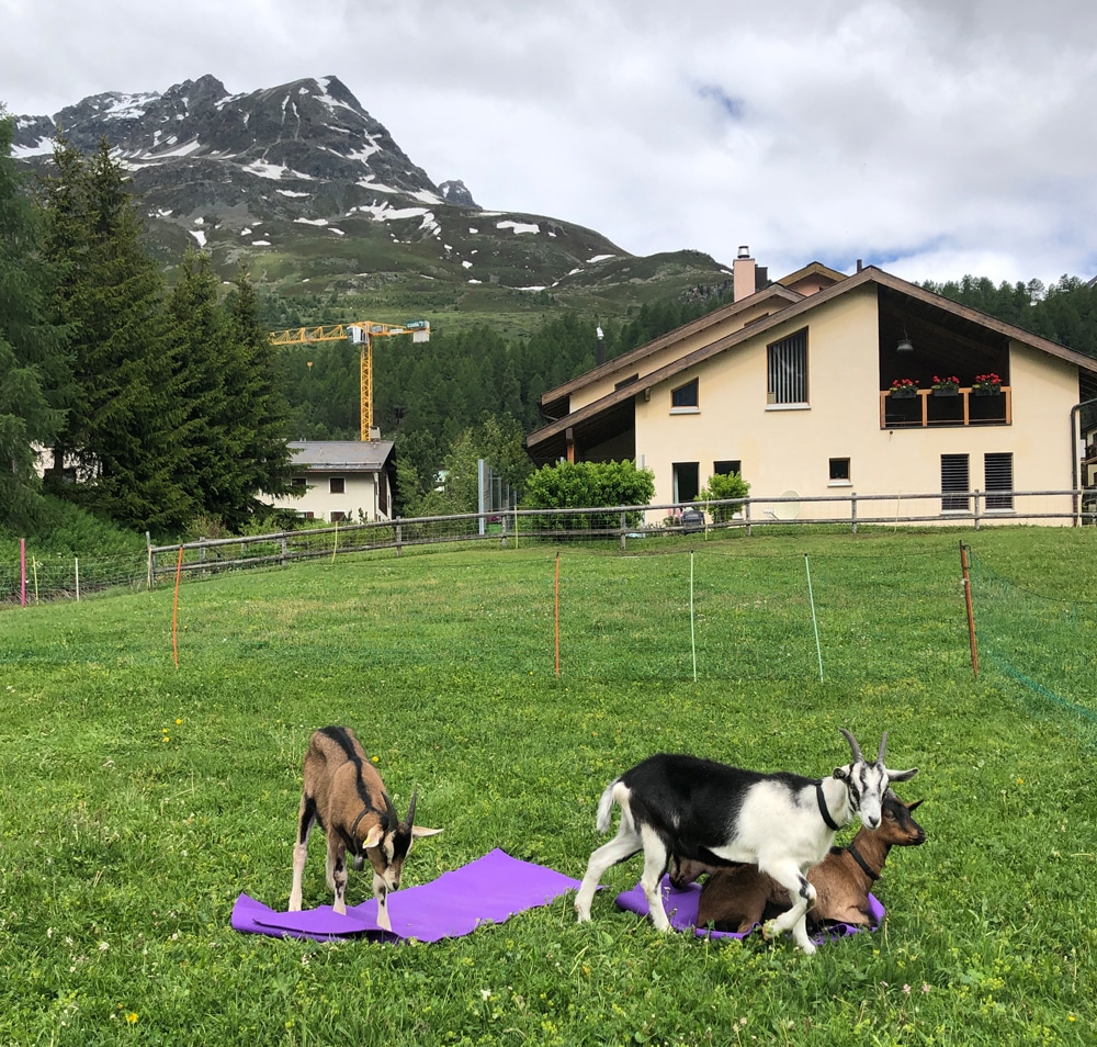 Grand Hotel Kronenhof