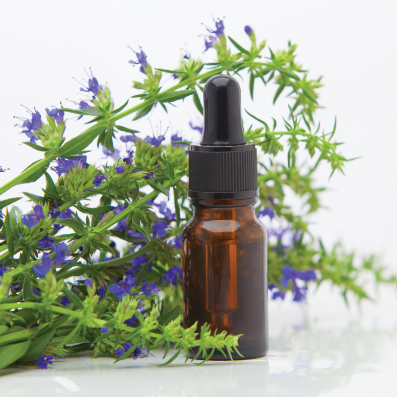 Hyssop Oil