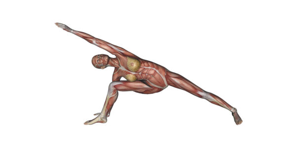 Extended Side Angle Pose