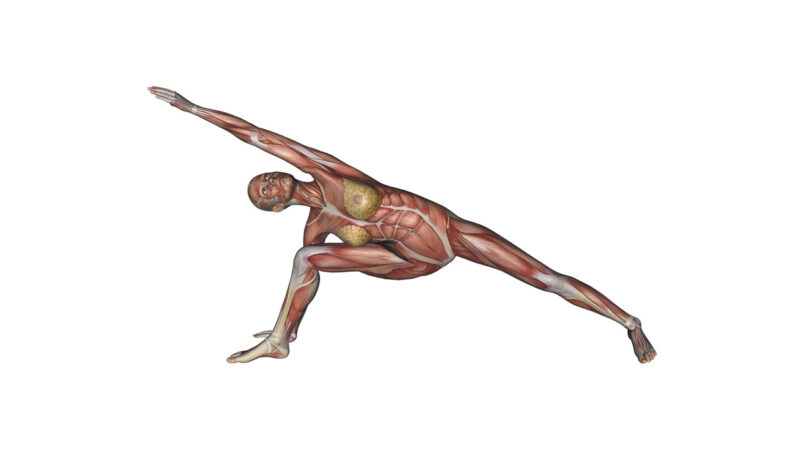 Extended Side Angle Pose