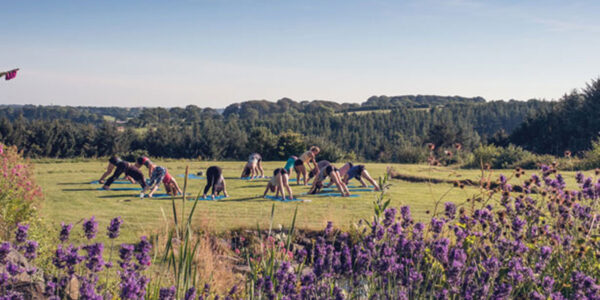 Run Better with Yoga Retreat