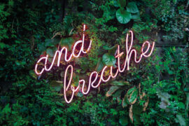 4 yoga career hacks... from the fab four max-van-den-oetelaar-buymYm3RQ3U-unsplash