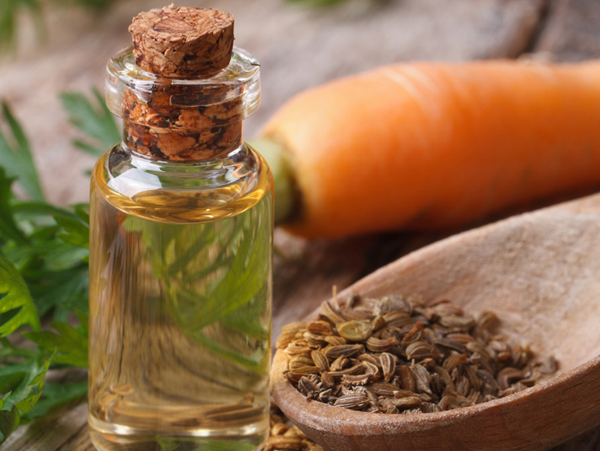 Carrot Seed Oil