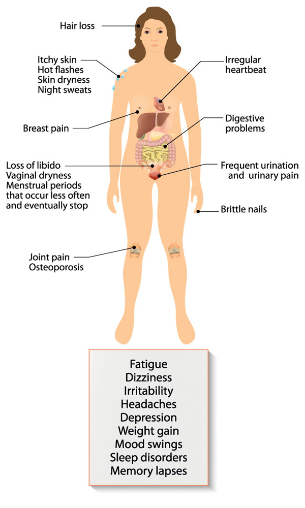 What-is-menopause-2