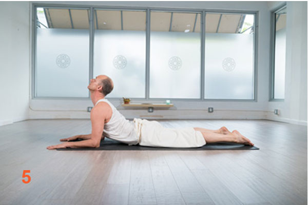 YAH5 Sun Salutations