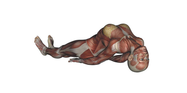 Fish Pose Yoga Anatomy