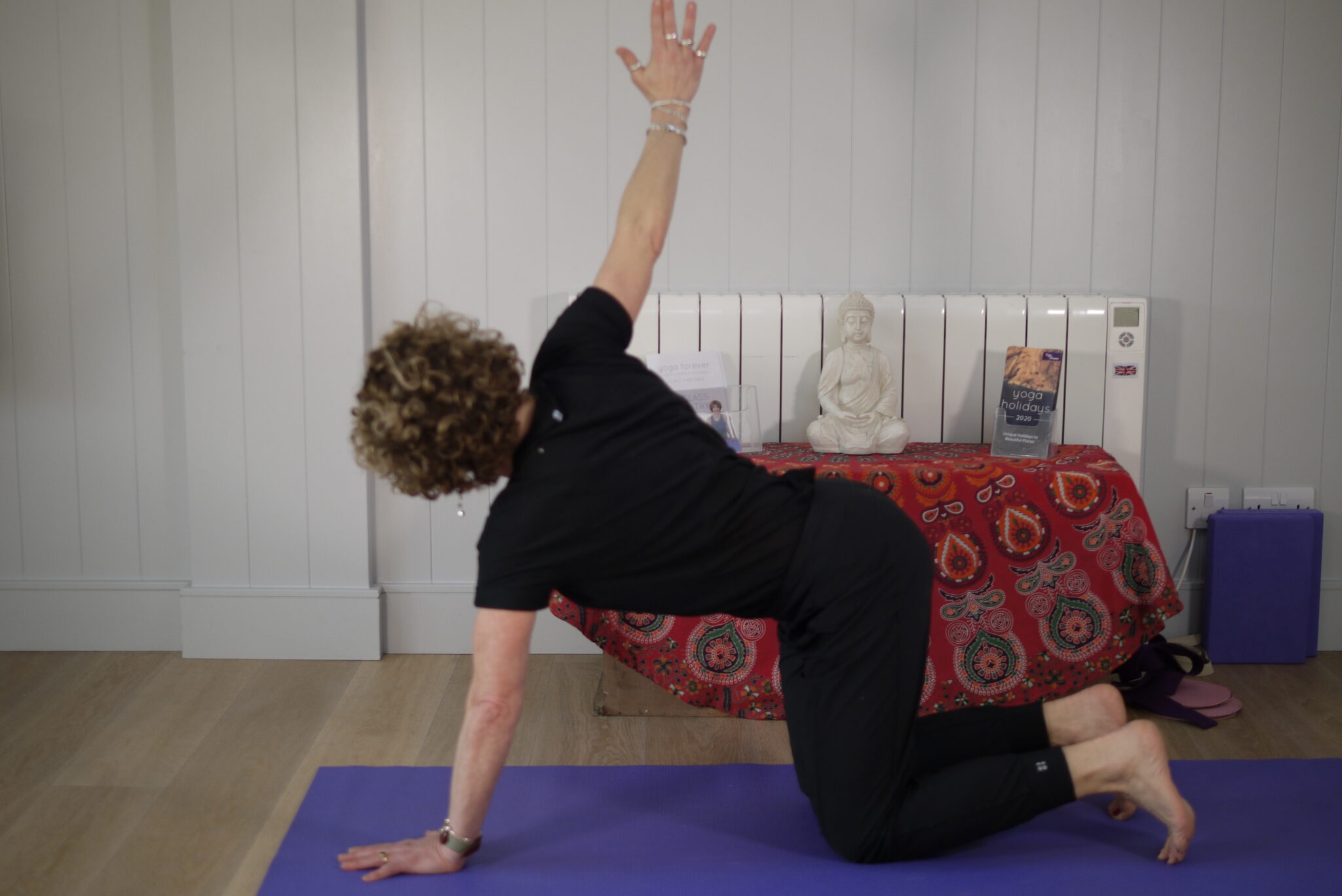 _1070670 Thread the Needle pose