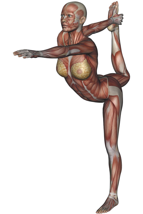 Dancer Pose Yoga Anatomy