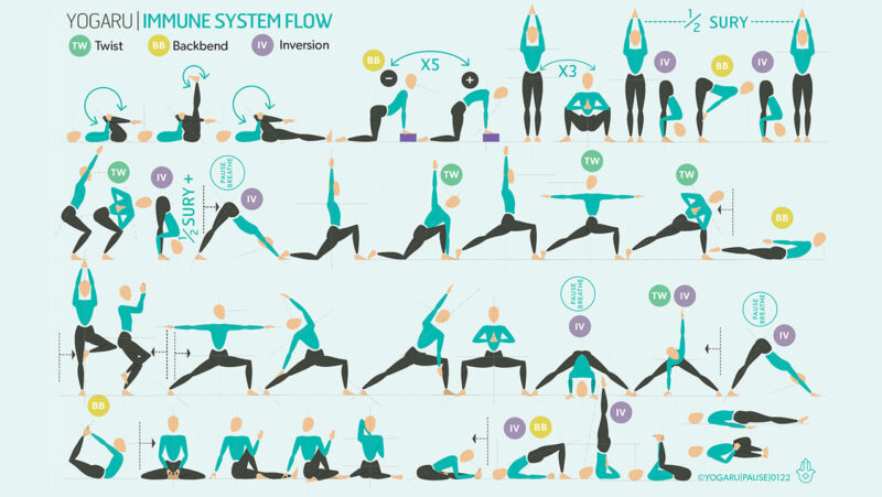 Yoga and the Immune System