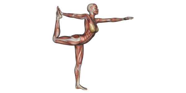 Dancer Pose Yoga Anatomy