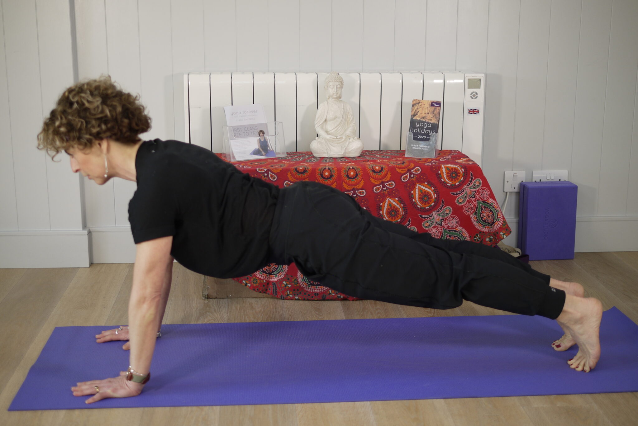 plank plank pose