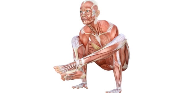 Shoulder Pressing Pose - yoga anatomy