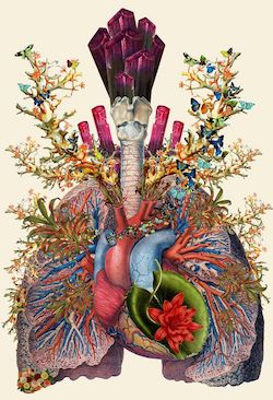 VEHRA-Adore-Anatomical-Lung-collage
