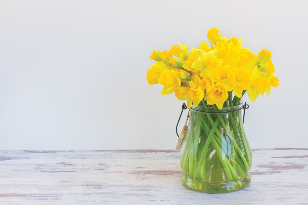 Springtime health MOT Springtime health MOT