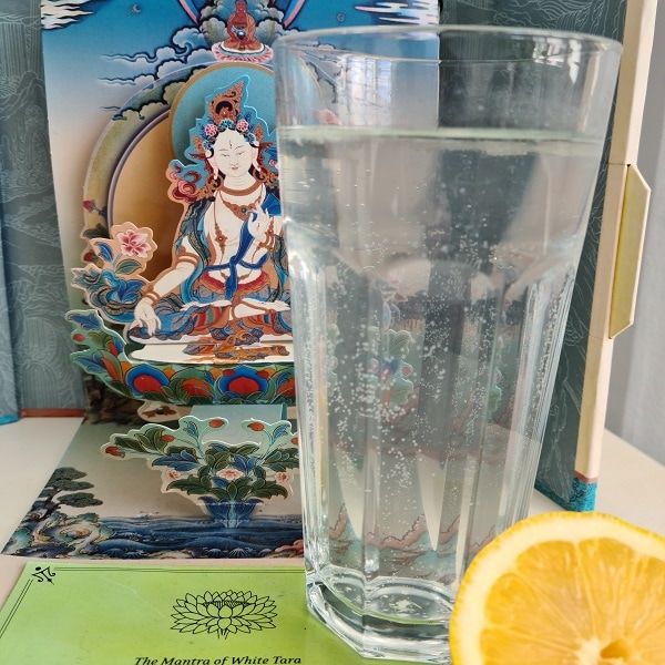 lemon-600 lemon-600