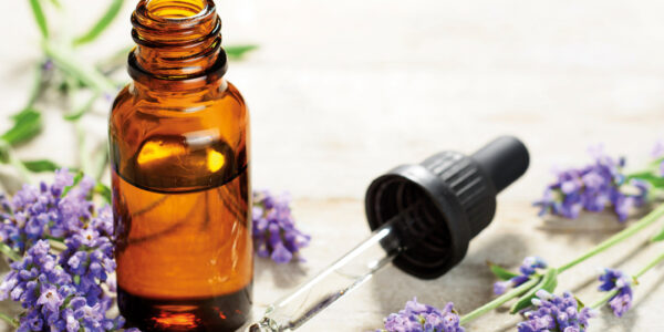 Spike Lavender Oil