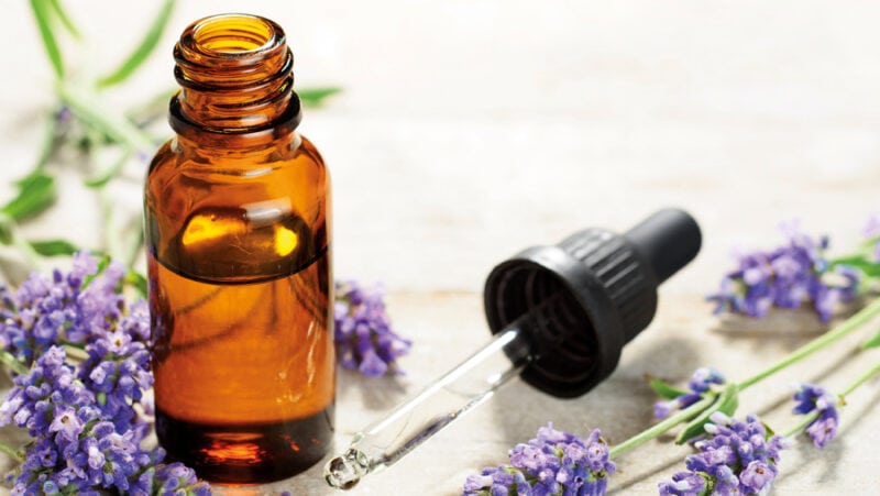 Spike Lavender Oil