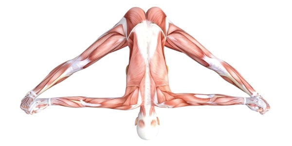 Wide-Legged Seated Forward Bend