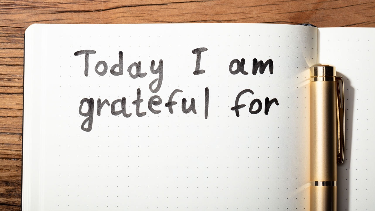 gratitude gratitude