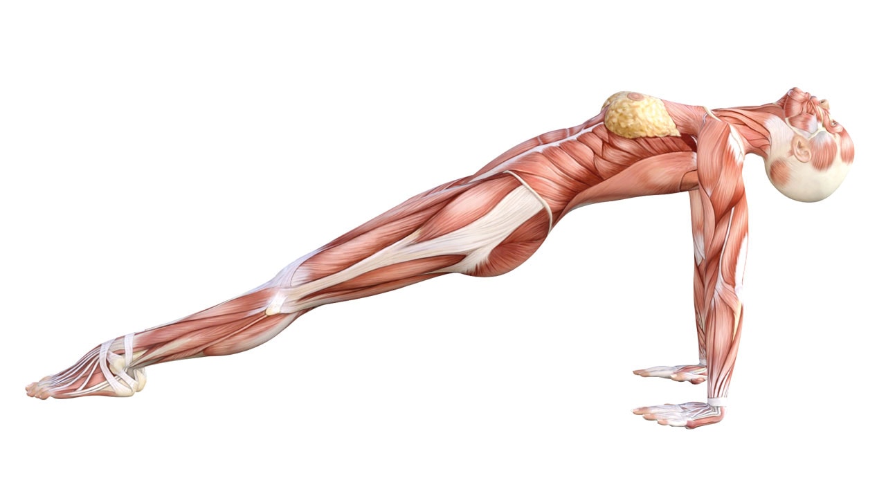 Inclined-Plane-pose-feature Inclined Plane Pose