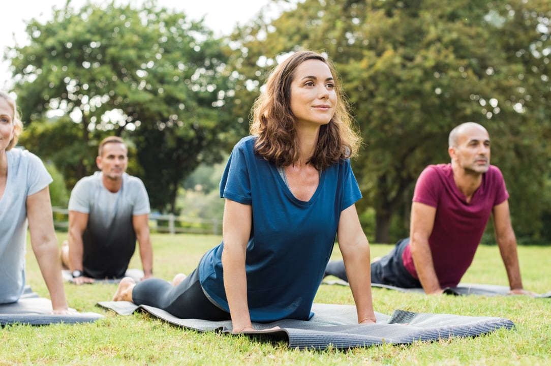 Mature healthy people doing yoga at park. Group of multiethnic people exercising on green grass with yoga mat. Happy men and smiling women in yoga class doing exercise outdoor.