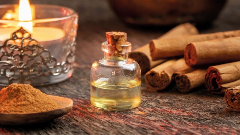 Cinnamon Oil