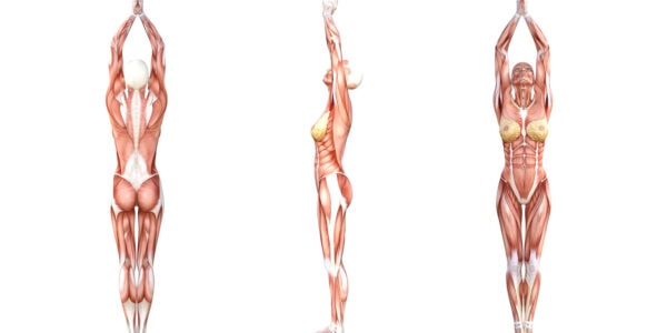 Yoga Anatomy: Upward Salute Pose