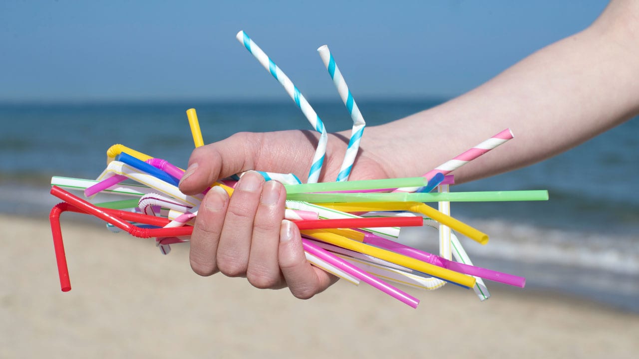 Rice-straws-feature Rice straws
