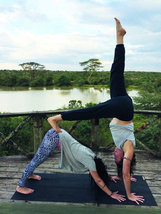 safari yoga retreat