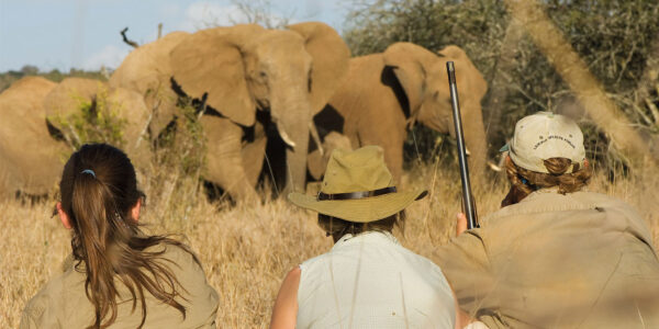 safari yoga retreat