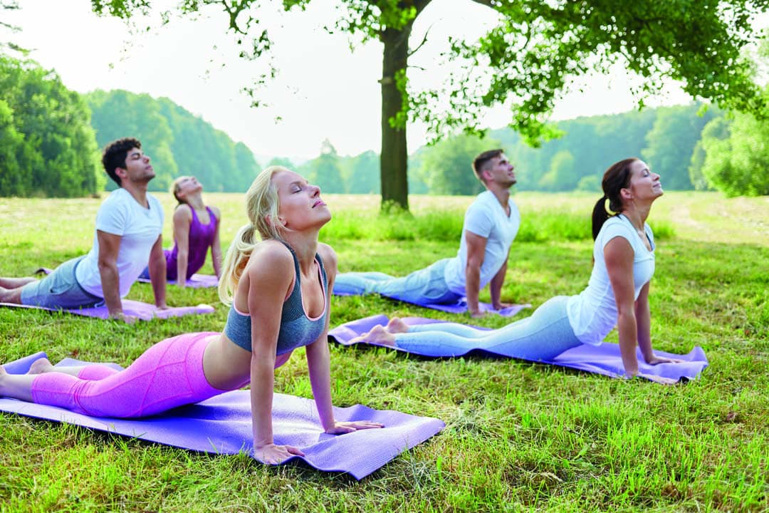 People doing yoga exercise in park in wellness relaxation seminar