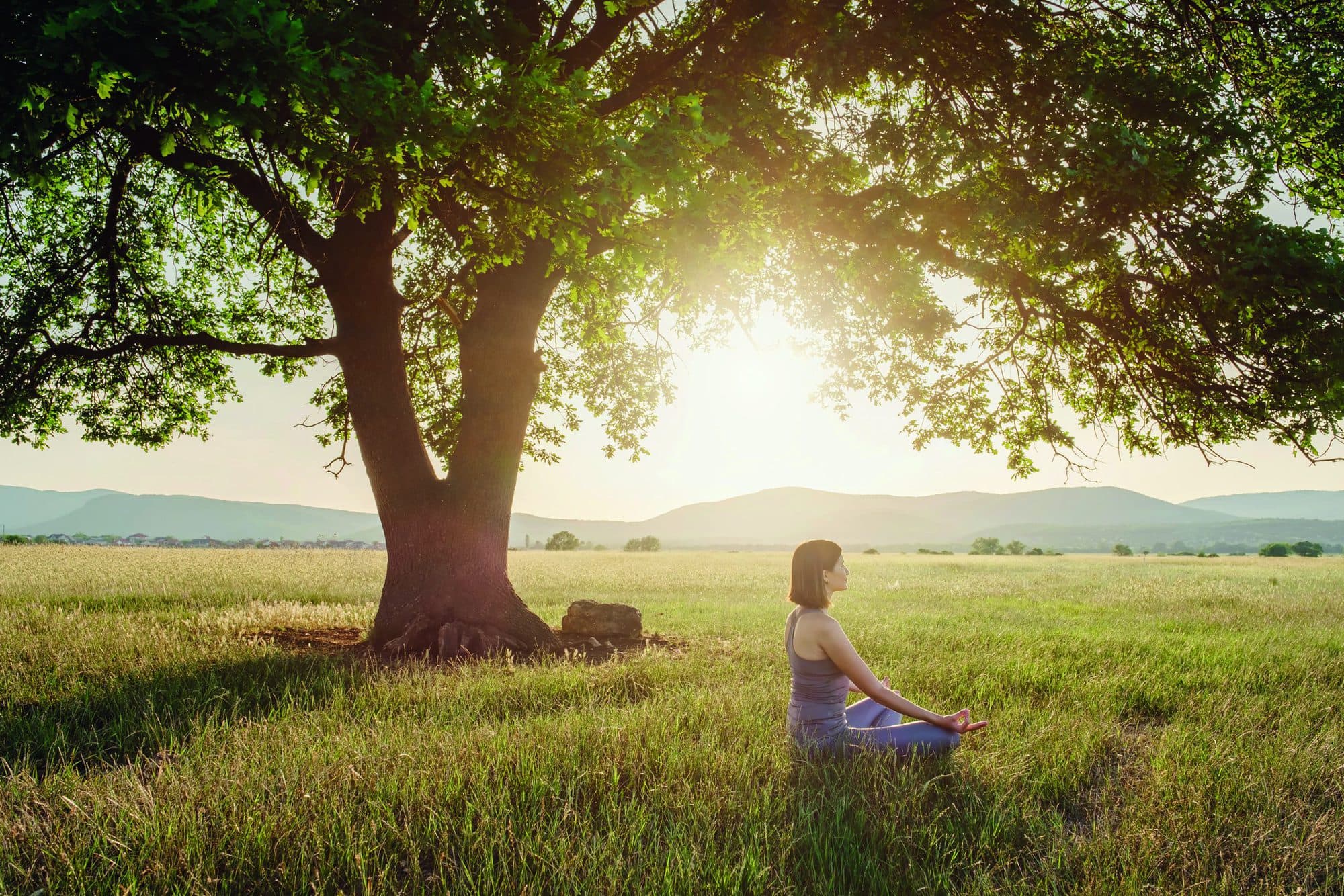 Attractive woman practices yoga in nature in summer. Healthy lifestyle. Fitness and sport. outdoor harmony with nature, calm scene