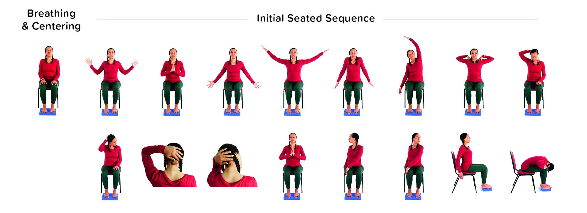 Y4H Initial sequence