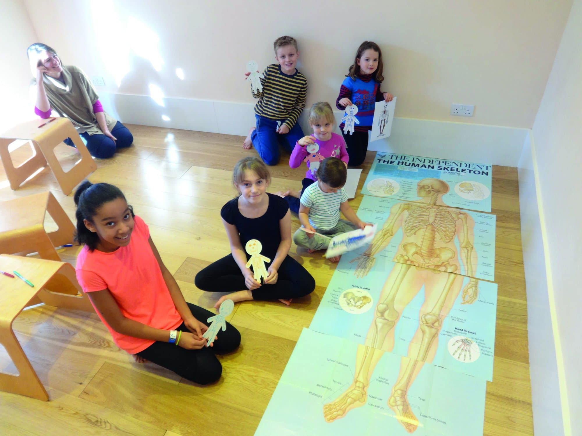 Evelyn Crosskey anatomy kids