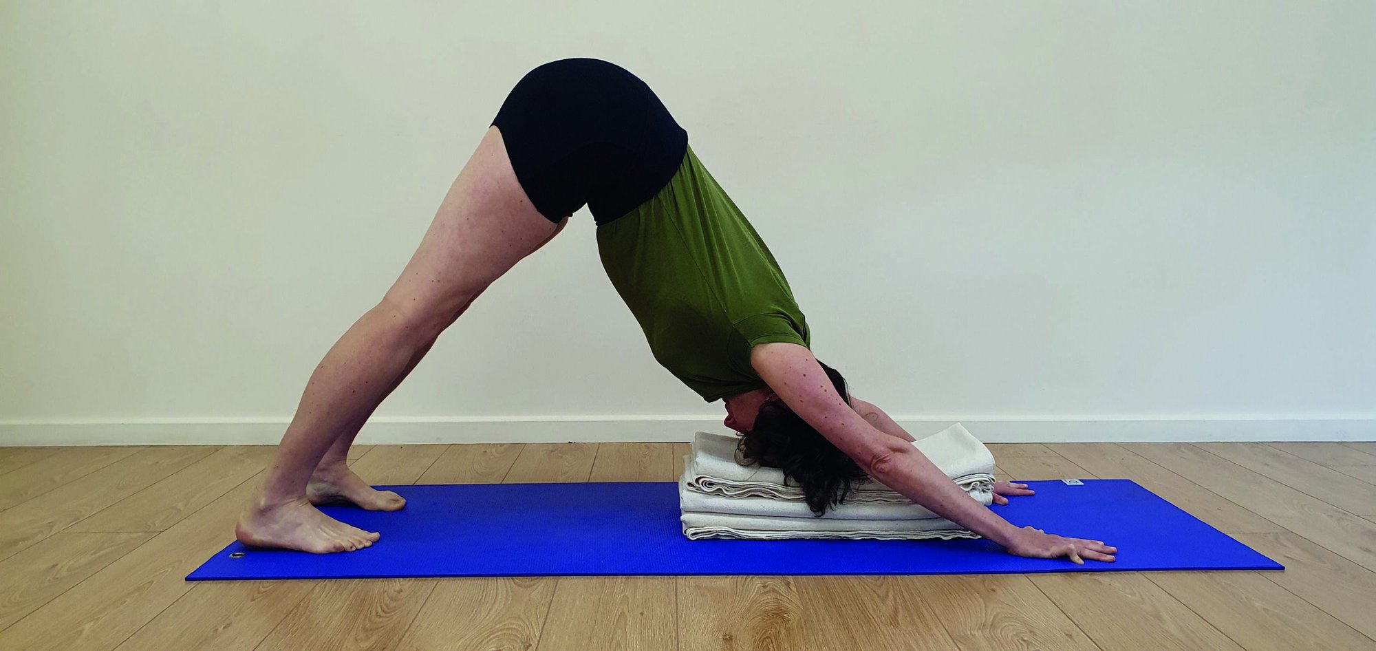 Adho Mukha Svanasana - downwarddog