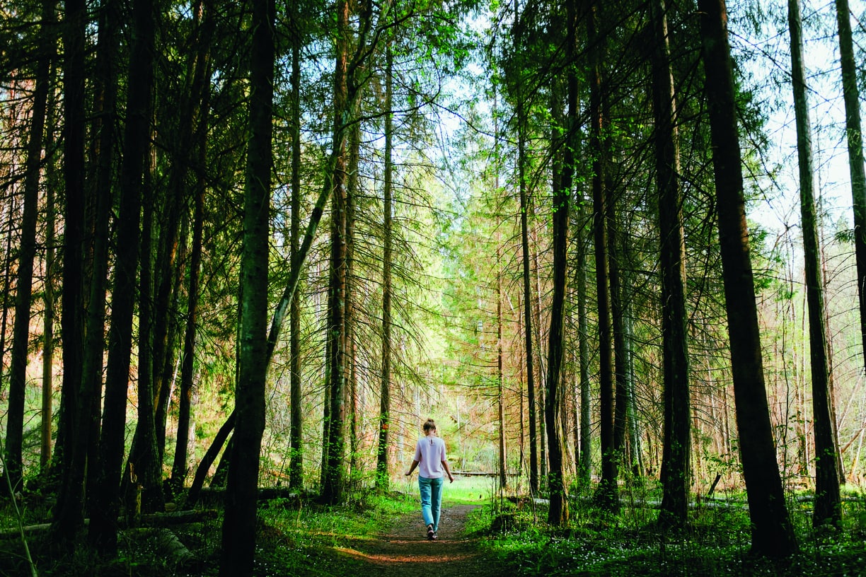 Woman walking in a pine tree alley