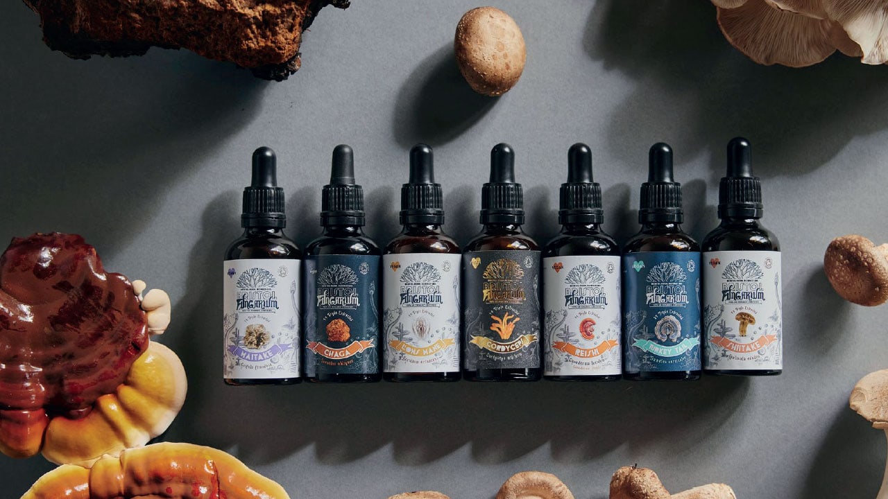 Seeking balance with medicinal mushrooms | Om Yoga Magazine