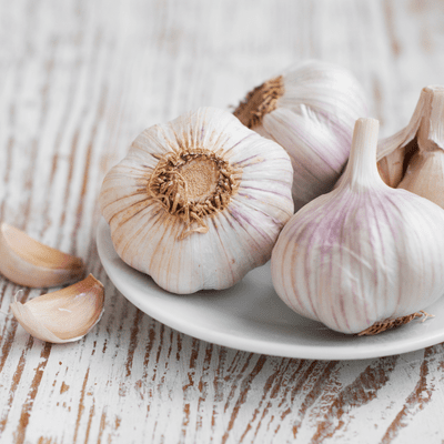 Garlic