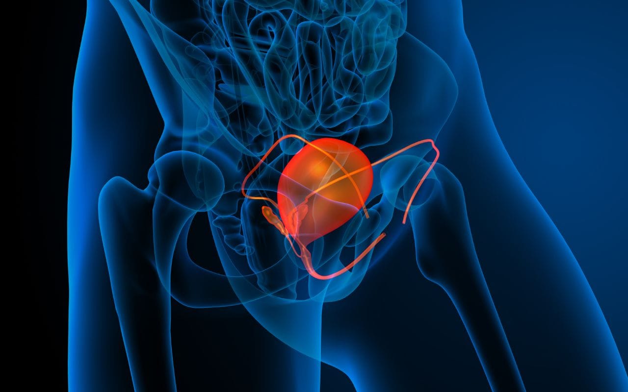 Bladder meridian