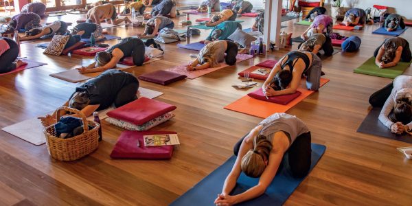 The Australian School of Meditation and Yoga