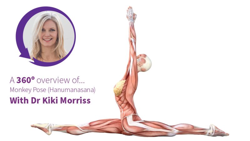 Monkey Pose - Yoga Breakdown - Yoga - HTX+