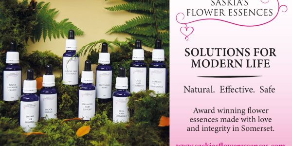 Saskia Flower Essences Featured Image Ad