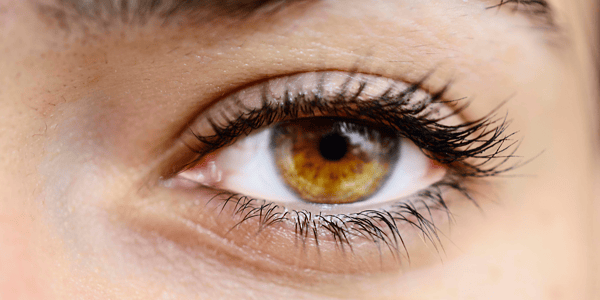 The Best Foods for Healthy Eyes