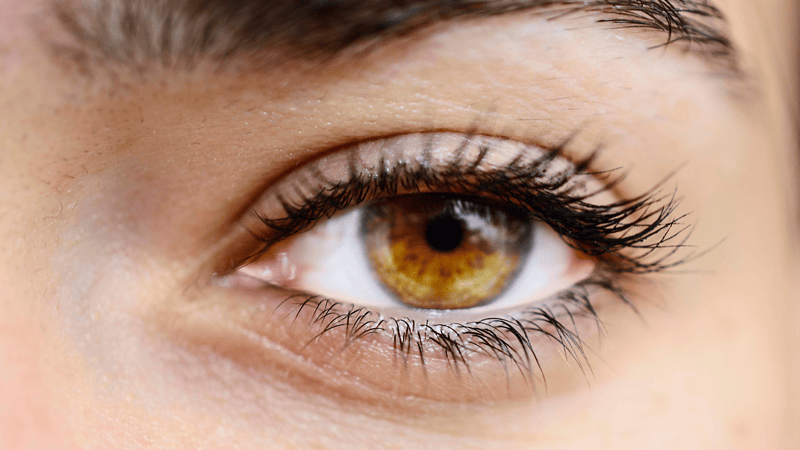 The Best Foods for Healthy Eyes