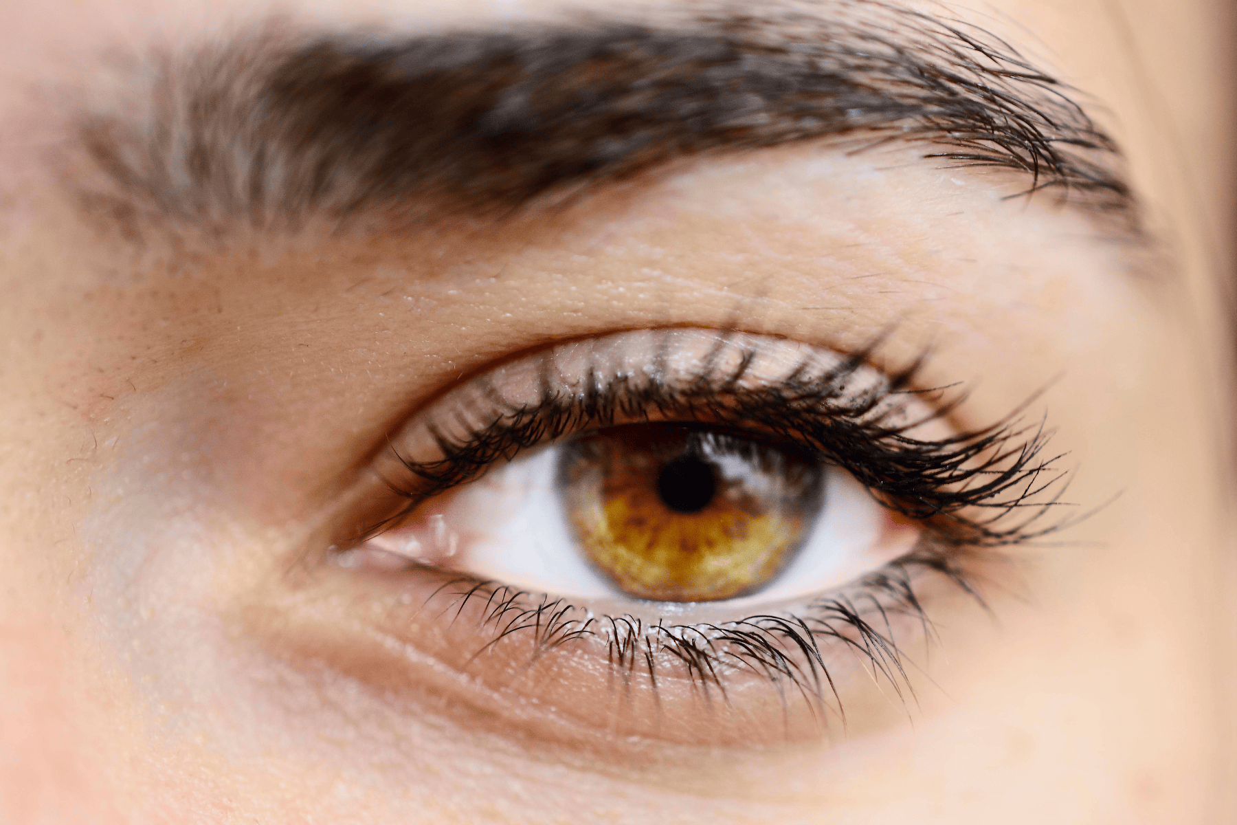 The Best Foods for Healthy Eyes